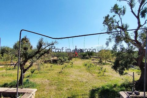Landejendom i Carovigno, Brindisi, Carovigno - € 98.000 | Ref: 122569 - foto 20